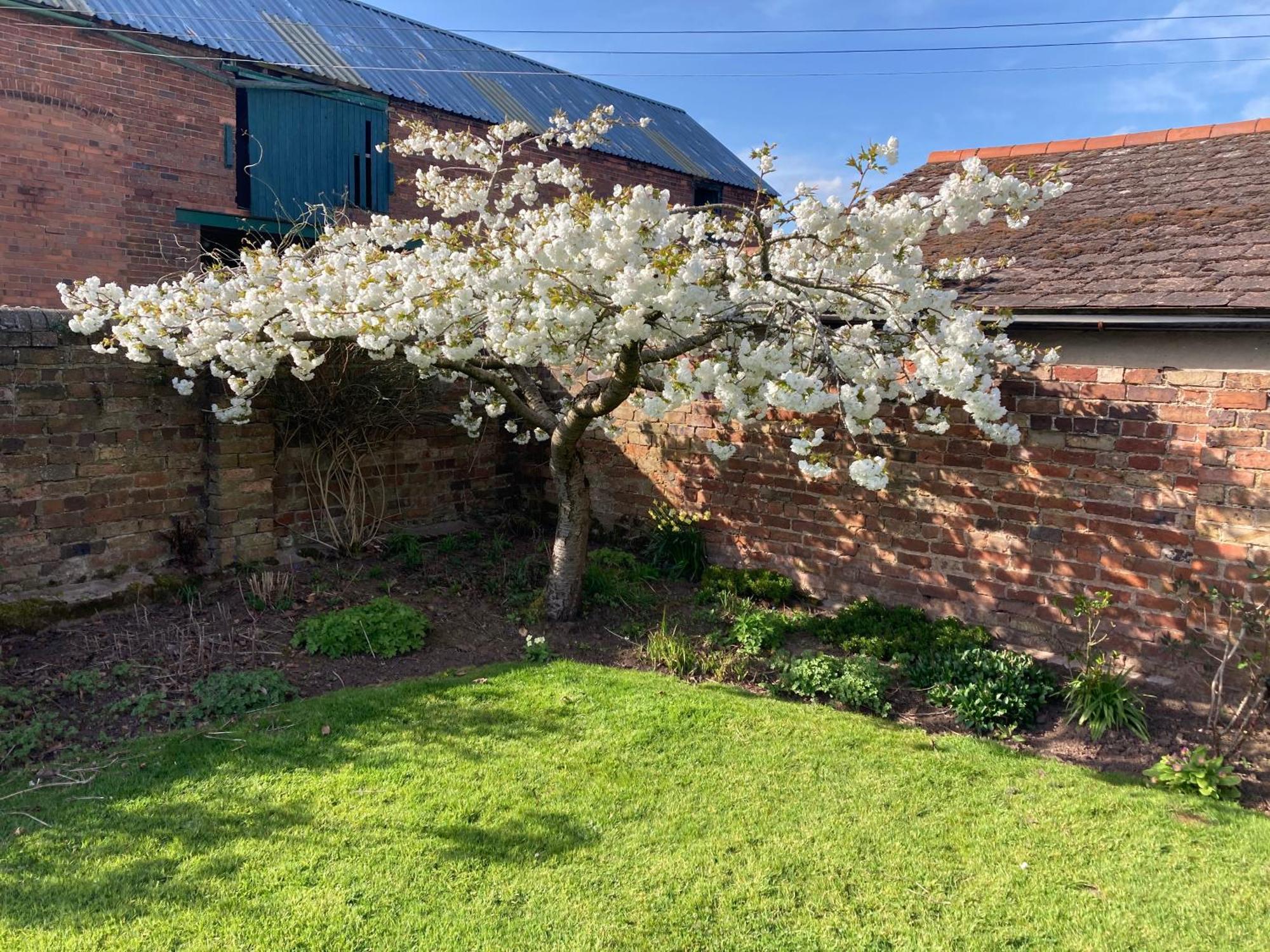Church Farm B&B Near Telford And Ironbridge Shifnal Exterior foto